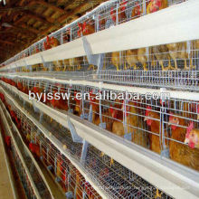 3 or 4 Layer Chicken Cage Factory Sale